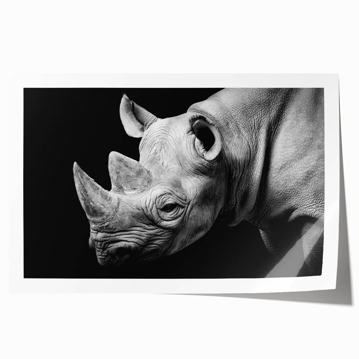 Rhinoceros wall art print showcasing a vibrant, stylized design with earthy tones, perfect for wildlife enthusiasts and home decor. Ideal for modern interiors.