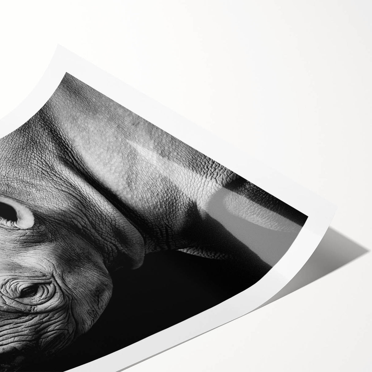 Rhinoceros wall art print featuring a vibrant, detailed design showcasing the majestic animal in its natural habitat. Ideal for wildlife enthusiasts and decor lovers.