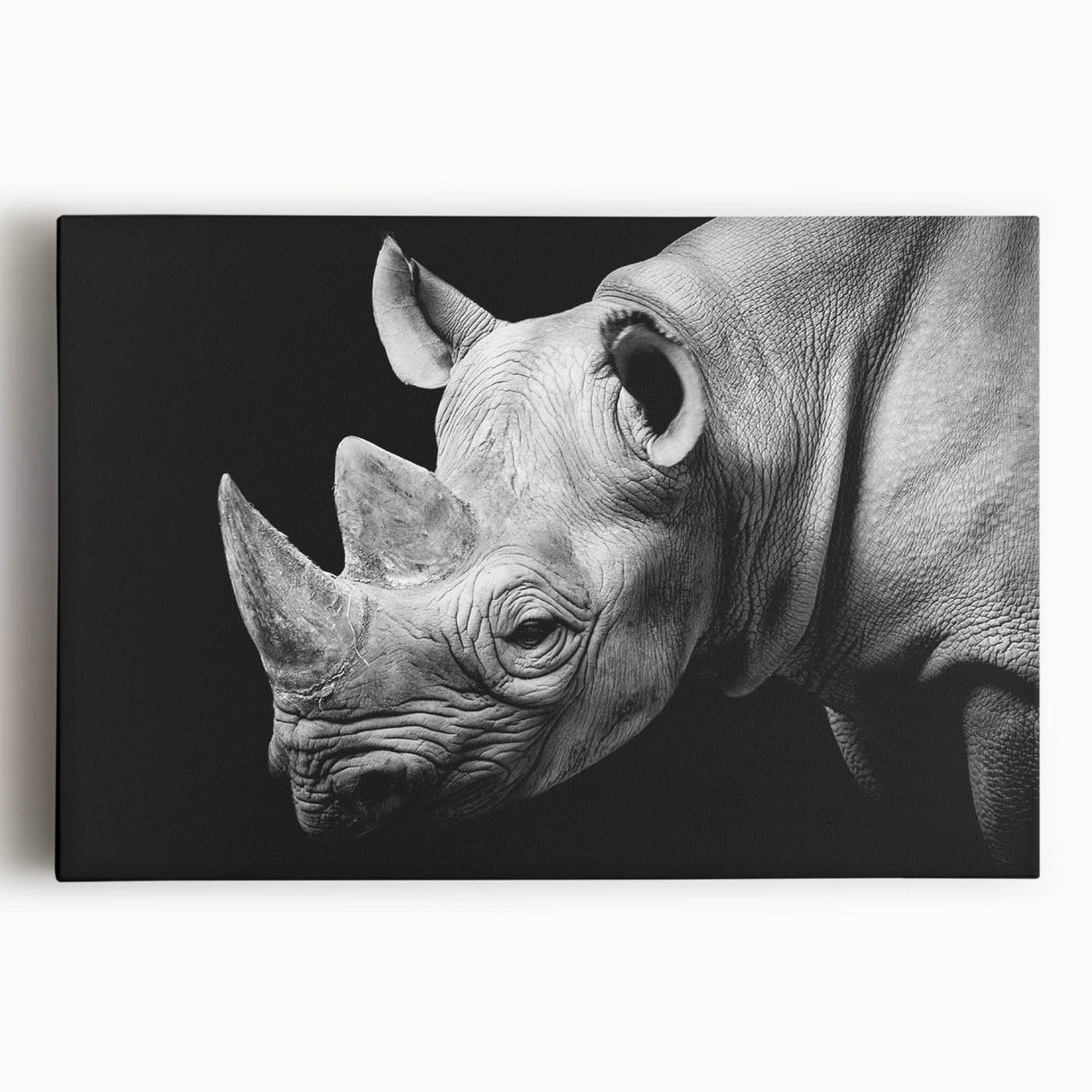 Front view of a vibrant stretched canvas artwork depicting a rhinoceros in a wild landscape, showcasing detailed textures and earthy tones, perfect for animal lovers and home decor enthusiasts.