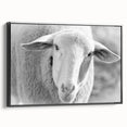 Framed canvas wall art depicting a stylized black and white sheep design, showcasing intricate details against a minimalist backdrop, ideal for modern decor.