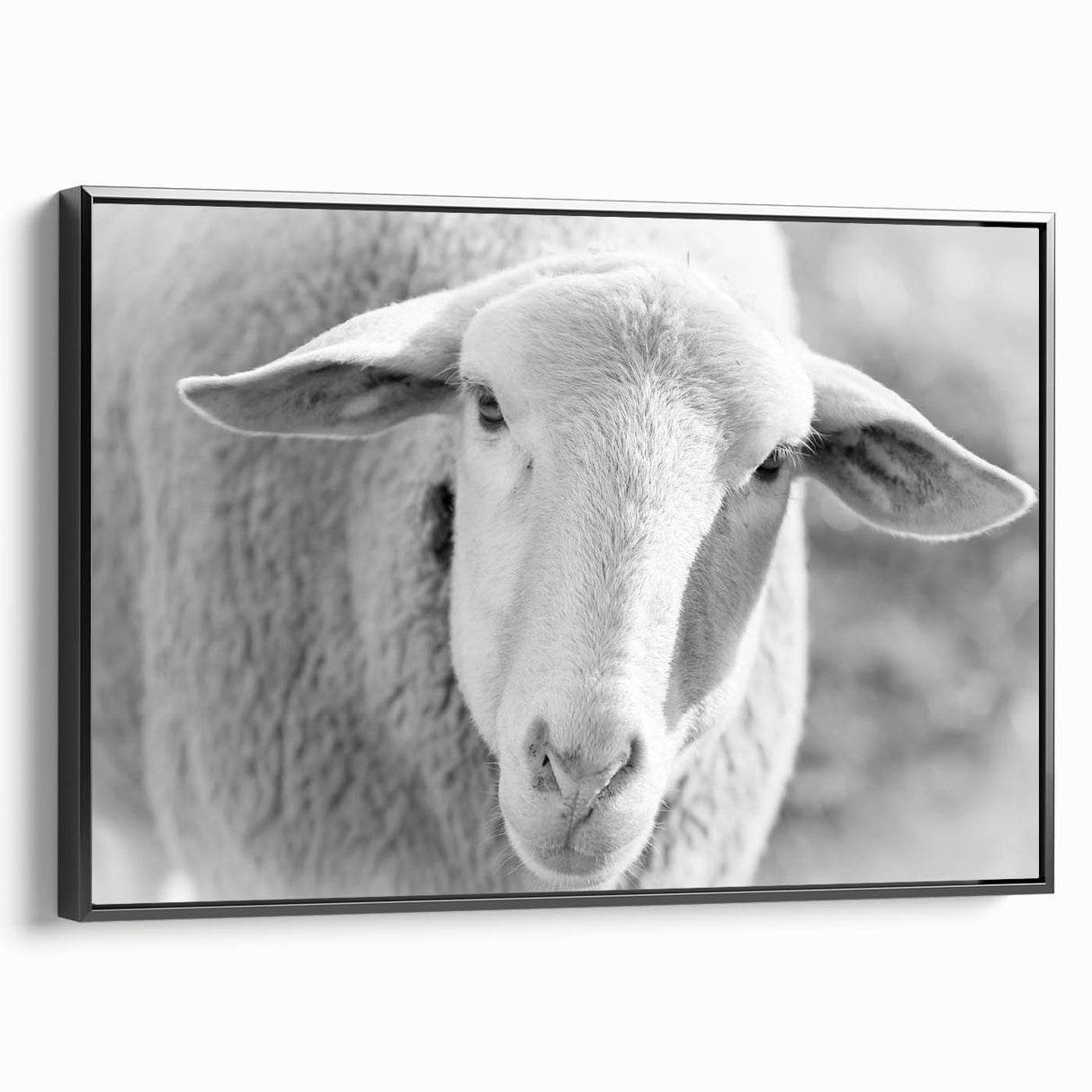 Framed canvas wall art depicting a stylized black and white sheep design, showcasing intricate details against a minimalist backdrop, ideal for modern decor.