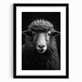 Black framed wall art featuring a sheep design from the "Animals: A Wild Life" collection, showcasing intricate details and a contemporary aesthetic suitable for home decor.