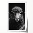 Artistic rolled print showcasing a vibrant sheep design from the "Animals A Wild Life" wall art collection, featuring intricate details and rich colors, perfect for home decor.