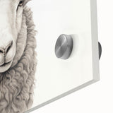 Close-up of a vibrant acrylic glass wall art piece featuring a detailed sheep design from the 'Animals of the Wild' collection, showcasing intricate textures and colors that enhance any decor.
