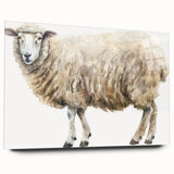 Acrylic glass wall art featuring a detailed sheep design from the "Animals: A Wild Life" collection, showcasing vibrant colors and intricate patterns, perfect for animal lovers and modern decor.