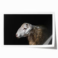 Sheep-themed wall art print showcasing a vibrant, colorful design with intricate details, rolled and packaged in a protective cardboard tube for easy display.