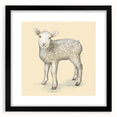 Framed black wall art featuring a sheep design from the "Animals - A Wild Life" collection, showcasing intricate details and textures, ideal for animal lovers and home decor enthusiasts.
