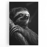 Sloth wall art design on stretched canvas, showcasing vibrant colors and intricate details, perfect for animal lovers and home decor enthusiasts.