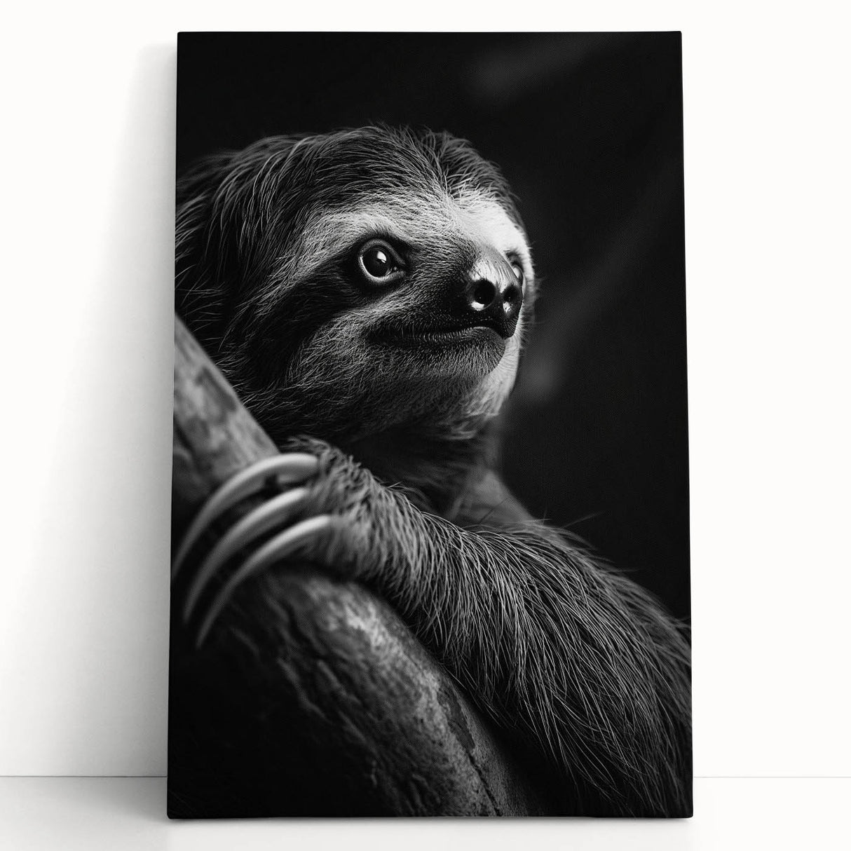 Sloth-themed wall art featuring a vibrant canvas design, showcasing a sloth hanging from a branch, perfect for animal lovers and nature-inspired decor.