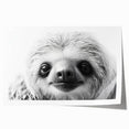 Sloth-themed wall art print featuring a vibrant, colorful design showcasing a sloth hanging from a branch, ideal for animal lovers and home decor enthusiasts. The rolled print is perfect for framing and adds a playful touch to any space.
