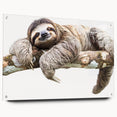 Acrylic glass wall art featuring a sloth design from the "Animals - A Wild Life" collection, showcased in a side view with mounting pins, ideal for animal lovers.