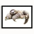 Sloth-themed wall art collection framed in black, showcasing a whimsical design with vibrant colors, perfect for animal lovers and home decor enthusiasts.