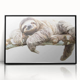 Framed wall art featuring a sloth design in a vibrant, colorful style, showcasing its unique details against a sleek black frame, perfect for animal lovers’ decor.
