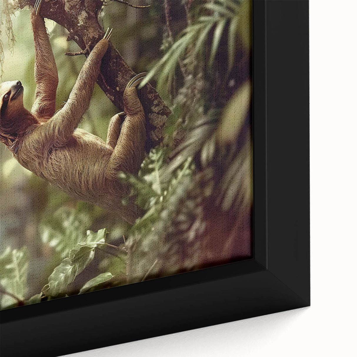 Close-up of a framed sloth wall art piece showcasing vibrant colors and intricate details, perfect for adding a touch of nature-inspired decor to any room.