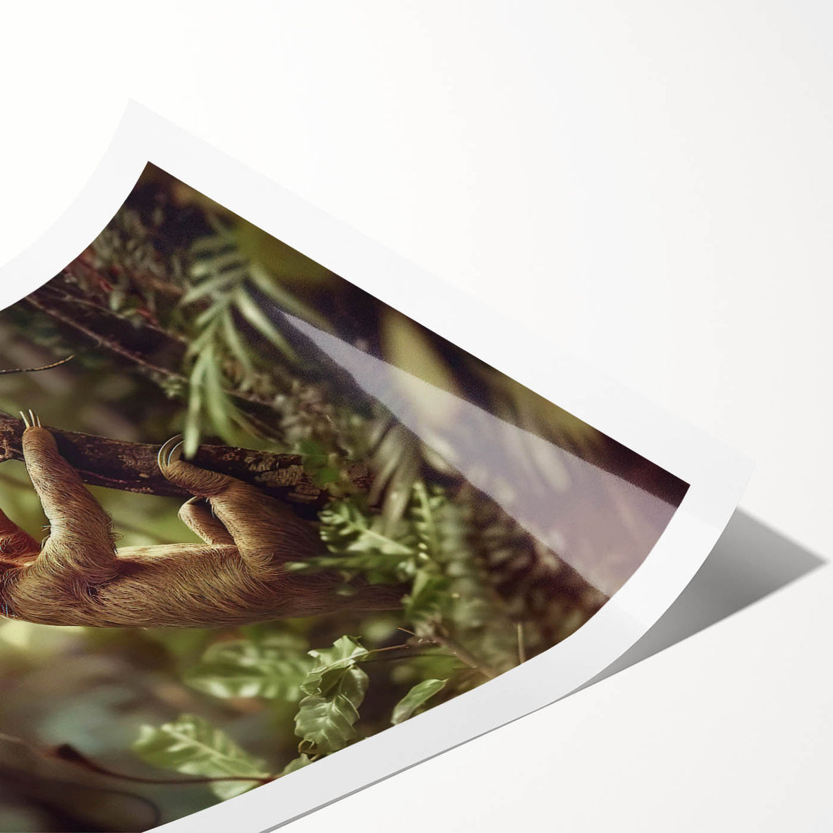 Sloth-themed wall art print featuring vibrant colors and intricate details, showcasing a whimsical depiction of a sloth in a lush jungle setting, rolled and ready for display.