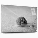 Acrylic glass wall art featuring a colorful snail design from the "Animals A Wild Life" collection, displayed with pins for a modern touch. Ideal for nature and animal lovers.