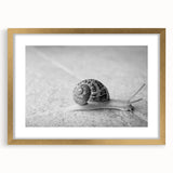 Elegant wall art featuring a whimsical snail design with a gold frame and mat, showcasing vibrant colors and intricate details, ideal for nature-themed decor.