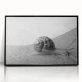 Framed wall art featuring a whimsical snail design in vibrant colors, set against a minimalist black background, perfect for adding a playful touch to home decor.