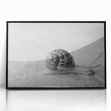 Framed wall art featuring a whimsical snail design in vibrant colors, set against a minimalist black background, perfect for adding a playful touch to home decor.