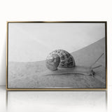 Framed acrylic wall art featuring a vibrant wildlife snail design with gold accents, perfect for adding a touch of nature-inspired elegance to any decor.