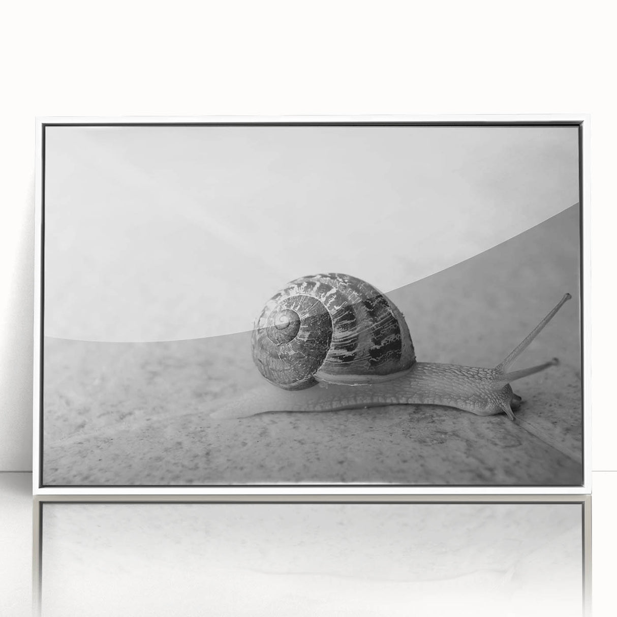 Framed acrylic wall art featuring a whimsical snail design, showcasing vibrant colors on a white background, ideal for enhancing a playful home decor theme.