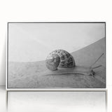 Framed acrylic wall art featuring a whimsical snail design, showcasing vibrant colors on a white background, ideal for enhancing a playful home decor theme.