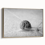 Framed canvas wall art featuring a vibrant snail design with gold accents, showcasing intricate details and textures, ideal for nature-themed decor.