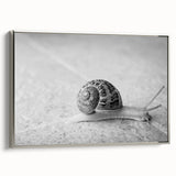 Framed canvas wall art showcasing a silver-side view of a whimsical snail design, perfect for animal lovers, adding a unique touch to any home decor.