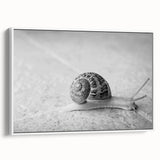 Framed wall art featuring a whimsical snail design on a textured canvas, set against a white background, perfect for adding charm to any room decor.