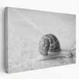 Colorful wall art featuring a close-up design of a whimsical snail on stretched canvas, showcasing vibrant hues and intricate details, ideal for nature lovers' decor.