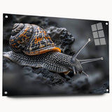Close-up view of a vibrant acrylic glass wall art piece featuring a whimsical snail design, showcasing intricate details and color, perfect for animal lovers’ decor.