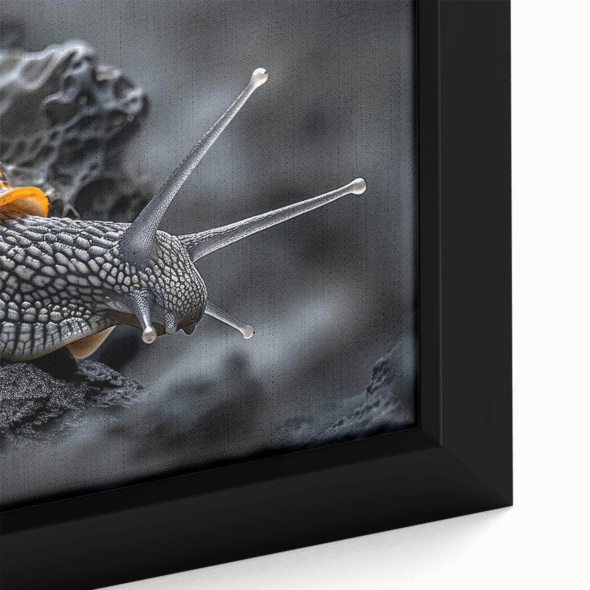 Close-up of a vibrant framed canvas featuring a colorful snail design, showcasing intricate details and textures, perfect for nature-themed home decor.