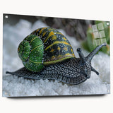 Acrylic glass wall art featuring a colorful snail design, showcasing intricate details and vibrant hues, mounted with pins for a contemporary display. Perfect for nature-themed decor.