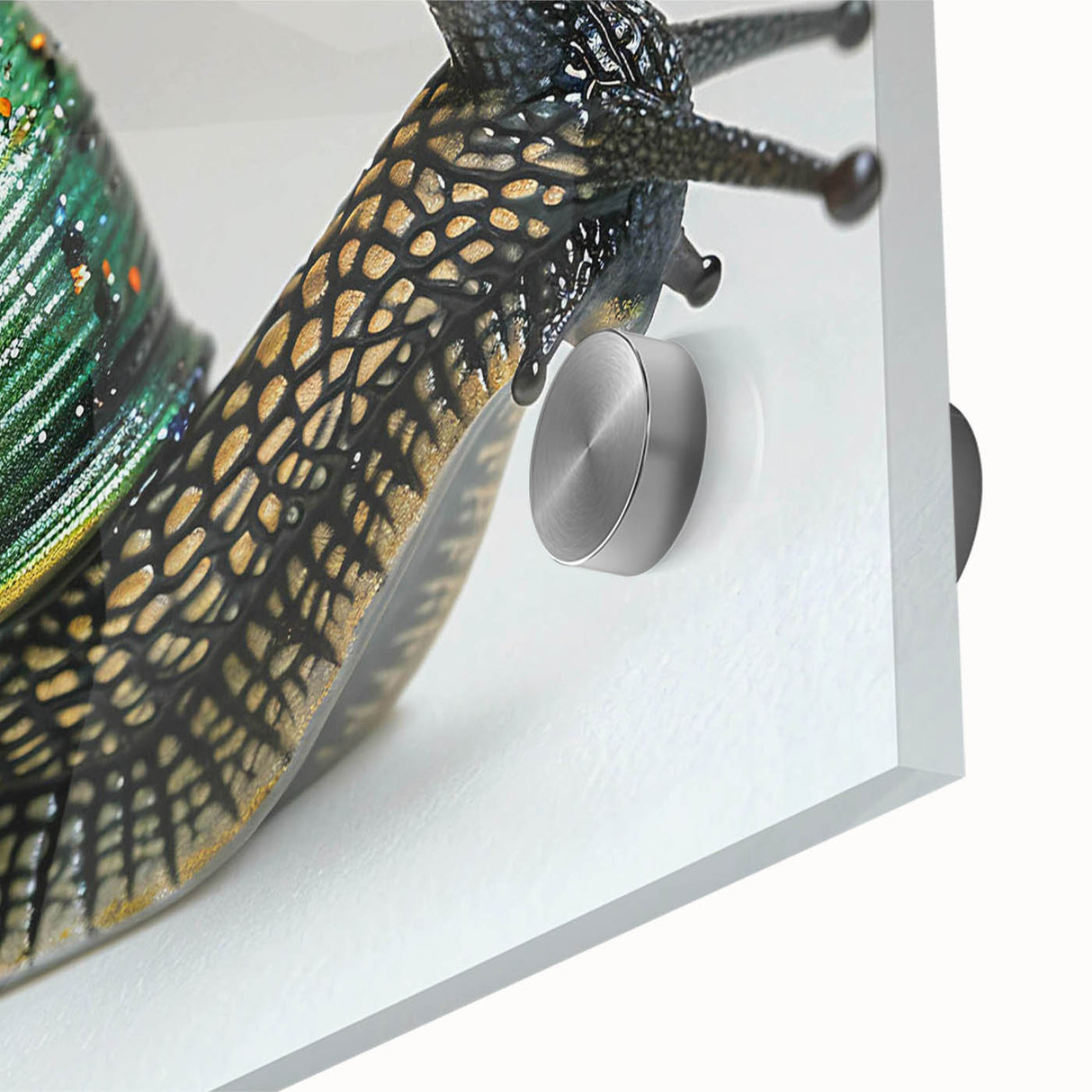 Close-up of a vibrant acrylic glass wall art piece showcasing a detailed snail design, perfect for nature lovers and home decor enthusiasts, evoking a sense of tranquility.