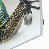 Close-up of a vibrant acrylic glass wall art piece showcasing a detailed snail design, perfect for nature lovers and home decor enthusiasts, evoking a sense of tranquility.