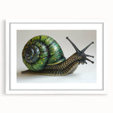 Framed wall art featuring a whimsical snail design from the Animals A Wild Life collection, presented with a white mat, perfect for nature-themed decor.