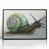 Framed wall art featuring a vibrant snail design in a contemporary black frame, showcasing intricate patterns and colors, perfect for nature lovers' decor.