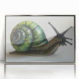 Framed wall art featuring a vibrant snail design, showcasing intricate patterns and colors on a silver-accented background, ideal for nature-inspired decor.