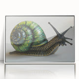 Framed acrylic wall art showcasing a whimsical snail design in vibrant colors, set against a white background, ideal for animal-themed decor.