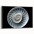 Framed wall art featuring a detailed snail design with a black frame, showcasing vibrant colors and intricate patterns, perfect for nature-inspired decor.