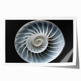 Colorful snail design wall art print, showcasing intricate patterns and vibrant colors, rolled and ready for framing, perfect for nature-inspired decor.