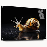 Colorful acrylic glass wall art featuring a whimsical snail design from the "Animals: A Wild Life" collection, displayed in a contemporary side view with pins for mounting.