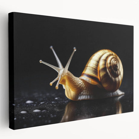 Colorful stretched canvas wall art depicting a whimsical snail design, showcasing intricate details and vibrant hues, perfect for adding charm to any space.