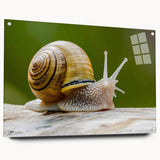Side view of a colorful snail design wall art collection, showcasing vibrant acrylic glass with pins, perfect for adding a whimsical touch to home decor.