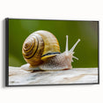 Framed canvas wall art featuring a detailed black snail design, showcasing intricate patterns and textures, perfect for nature-inspired home decor.
