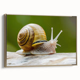 Framed wall art showcasing a stylized snail design in gold tones, set against a textured background, ideal for nature-inspired decor and modern interiors.