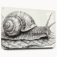 Vibrant acrylic glass wall art featuring a colorful snail design from the Animals A Wild Life collection, displayed in a side view with metal pins for mounting.