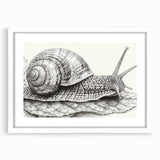 Framed wall art featuring a whimsical snail design in vibrant colors, surrounded by a white mat, perfect for adding a playful touch to home decor.
