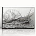 Framed wall art featuring a whimsical snail design in vibrant colors on a sleek black background, ideal for adding a playful touch to home decor.