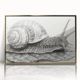 Framed wall art featuring a close-up design of a whimsical snail, showcasing intricate details and vibrant colors, perfect for adding a playful touch to home decor.